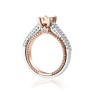 Gold Hoop Earrings for Women