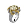 Gold Hoop Earrings for Women